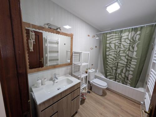 a bathroom with a sink and a toilet and a shower curtain at Mosquera House in Arzúa