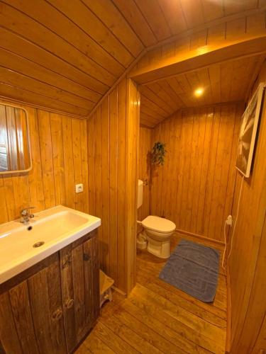 a wooden bathroom with a toilet and a sink at miki Hütten in Pack