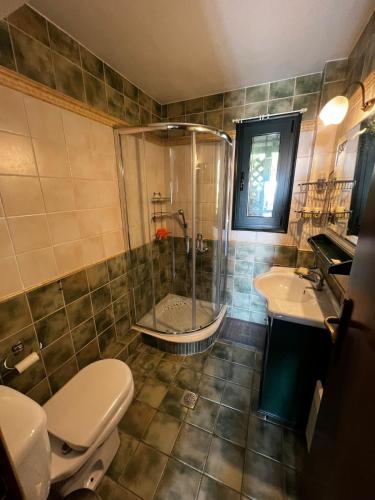 a bathroom with a shower and a toilet and a sink at Polyxeni villa - Neo Klima in Skopelos Town