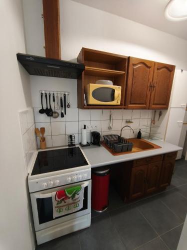 Suite privée avec Kitchenette, SDB et WC à Lyon 7