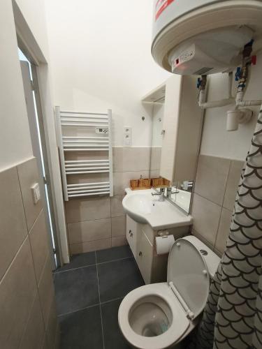 Suite privée avec Kitchenette, SDB et WC à Lyon 7