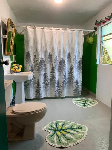a bathroom with a shower curtain and a toilet at Hostal Casa Margarito in Guadalajara