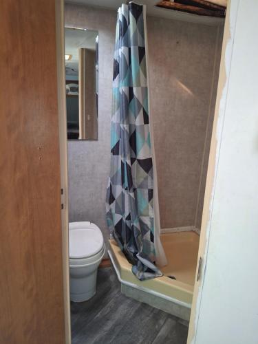 a bathroom with a toilet and a shower curtain at Private Cozy Camper in Burnside