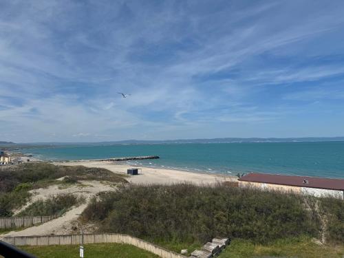 a beach with a bird flying over the ocean at Infinity Sea View Studio in Pomorie
