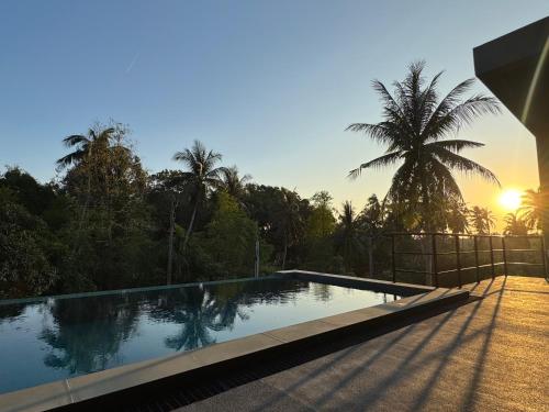 a swimming pool with a palm tree in the background at DeerWood villa in Hinkong