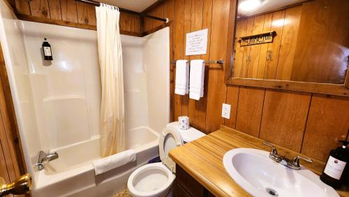 a bathroom with a sink and a toilet and a tub at Lee's Grand Lake Resort Cabin 4 in Grove