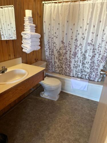 a bathroom with a toilet and a sink and a shower at Glacier View Inn in Haines Junction