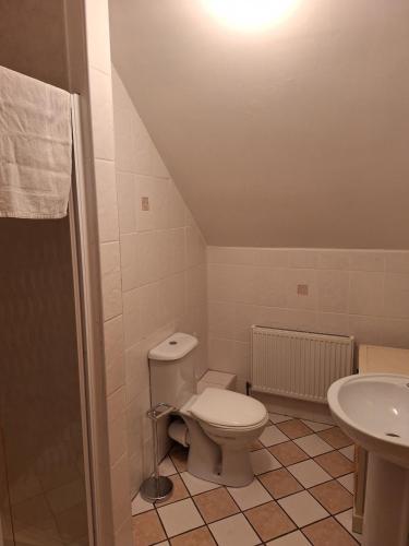 a bathroom with a toilet and a sink at Moher Heights in Liscannor
