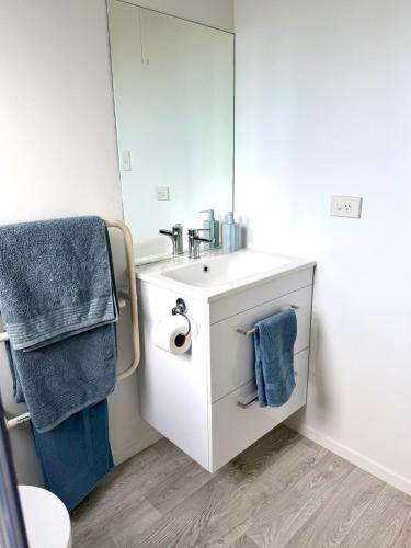 ein Badezimmer mit Waschbecken und Spiegel in der Unterkunft Snow Fed House in Methven