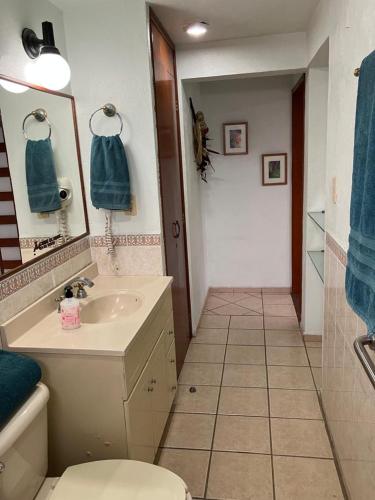 a bathroom with a sink and a toilet at Residencia Sofía in Casa Blanca La Corregidora