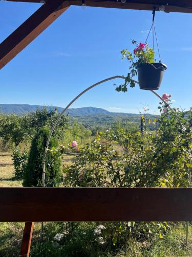 a potted plant hanging from a window in a garden at The Orchard Manor in Ociu