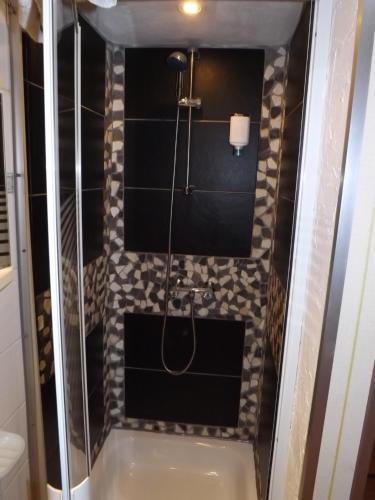 W łazience znajduje się prysznic ze szklanymi drzwiami. w obiekcie Haus Oberkassel w mieście Bonn