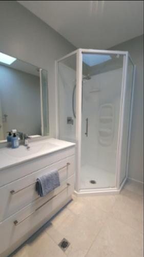 a bathroom with a shower and a sink and a mirror at 111 3rd Avenue Tauranga in Tauranga