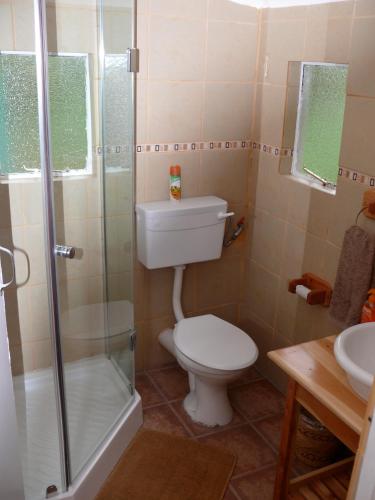 a bathroom with a toilet and a shower and a sink at Crags Cottage in Nottingham Road