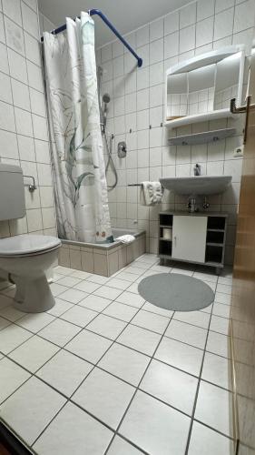 a bathroom with a sink and a toilet and a shower at Smart Stay Apartment in Balingen in Balingen