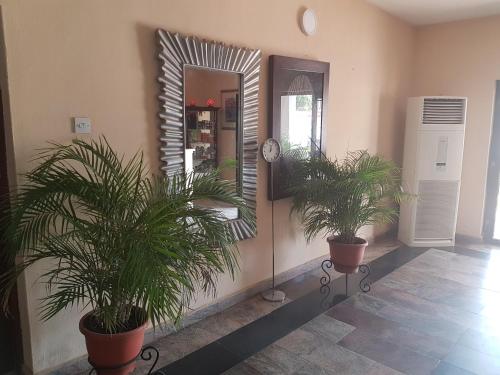 two plants in pots in a hallway with a mirror at Citilodge Hotel & Conference Centre Newly Renovated in Abuja