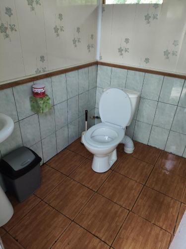 a bathroom with a toilet and a trash can at Arslanbob guest house Mamajanov in Arslanbob