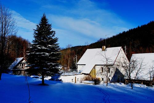a christmas tree in the snow next to a house at Biotanika in Michałkowa