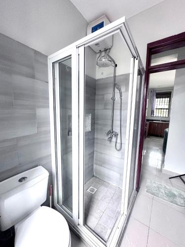 a bathroom with a shower and a toilet at Luxury Ntinda Apartment with Wi Fi and Netflix in Kampala