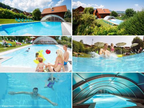 a collage of photos of people in a swimming pool at Haus Helene im Öko-Feriendorf in Schlierbach