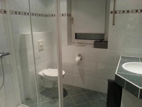 e bagno con doccia, servizi igienici e lavandino. di Ferienwohnung Ohmeis a Winterberg