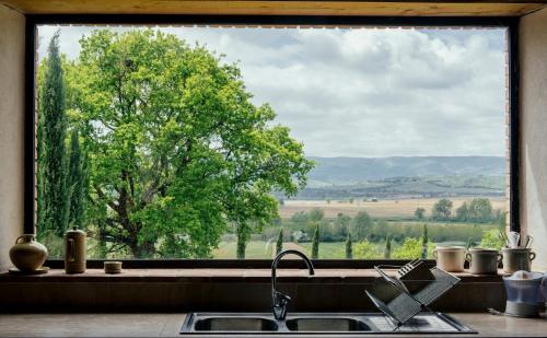 a kitchen window with a view of a tree at Agriturismo I Gergoni in Monteleone dʼOrvieto