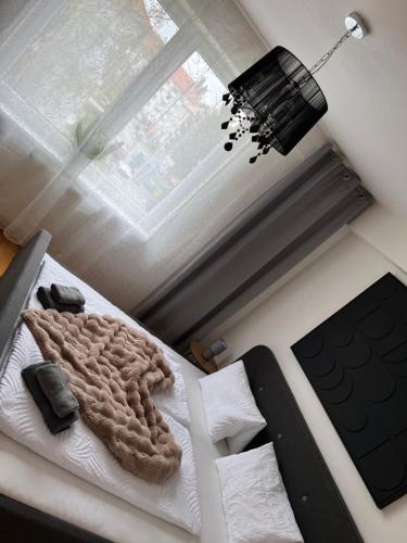 Domus Apartment