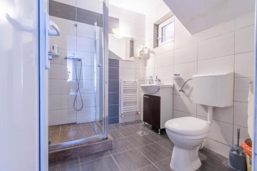 a bathroom with a toilet and a shower and a sink at Pensiunea Gaby in Cluj-Napoca