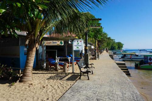 a sidewalk with palm trees and a bench on a beach at 4 Sisters Divers in Bunaken