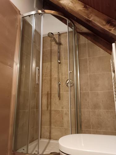 a shower with a glass door next to a toilet at Stanza Malga Ciauta in Villanova