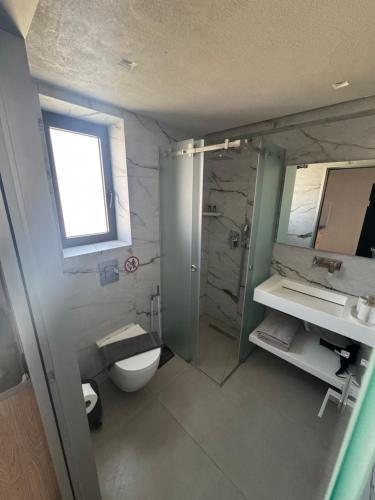 a bathroom with a shower and a toilet and a sink at Villa Roza 2 in Kallithea Halkidikis