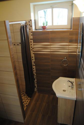 a small bathroom with a sink and a shower at Villa Hedi in Dunakiliti