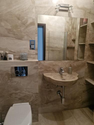 a bathroom with a sink and a toilet and a mirror at Cyprysowa 7 in Kiełczów