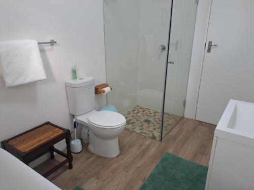 a white bathroom with a toilet and a shower at 5 Ysterklip Close, Hermanus in Hermanus
