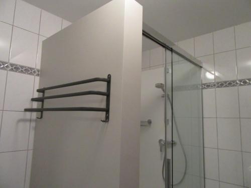 a shower in a bathroom with a glass door at Gite du Circuit in Stavelot