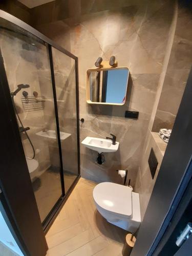 a bathroom with a toilet and a sink and a mirror at Apartamenty Babie Lato in Białogóra