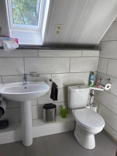 a bathroom with a sink and a toilet and a window at Le Menes in Andenne