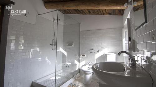 ein Bad mit einem Waschbecken, einem WC und einer Dusche in der Unterkunft CASA CAULI agriturismo in Arenabianca