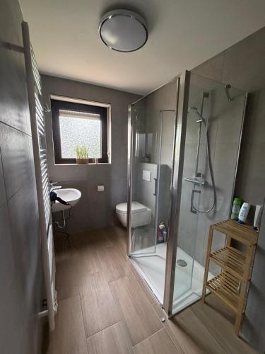 a bathroom with a shower and a toilet and a sink at Landhaus zur Sonne in Bad Camberg