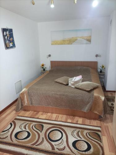 a bedroom with a bed and a rug at Casa Slanic House in Slănic-Moldova