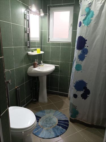 a bathroom with a toilet and a sink at Casa Slanic House in Slănic-Moldova