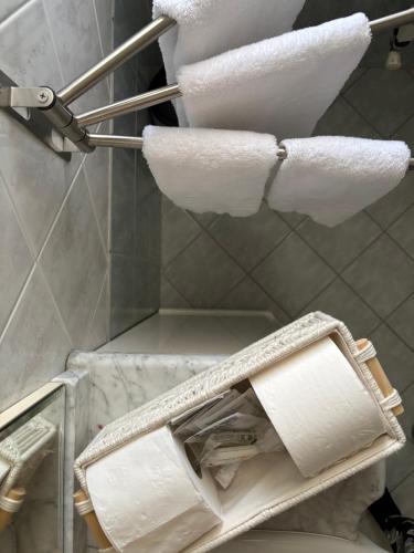 a bathroom with towels and a toilet in a room at Il Boschetto in Torgiano