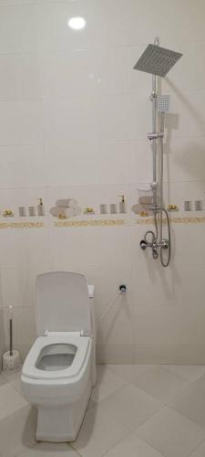 a white bathroom with a toilet and a shower at Bam Asia Five Star Hotel in Bāmīān