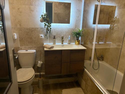 a bathroom with a toilet and a sink and a shower at Agréable chambre et salle de bain privée dans notre appartement partagé in Cannes