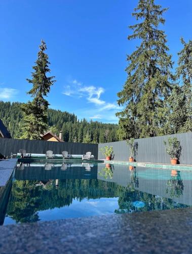 a swimming pool with chairs and a fence and trees at Imperial Hotel in Bukovel