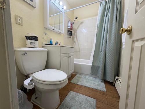 a bathroom with a white toilet and a shower at Cozy Place in Anchorage