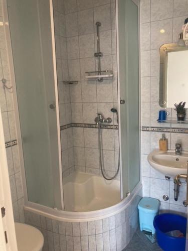 a bathroom with a shower and a toilet and a sink at Apartmani Vinko Palaversić in Jelsa