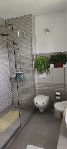 a bathroom with a shower and a toilet and a sink at Casa Maria in Avrig