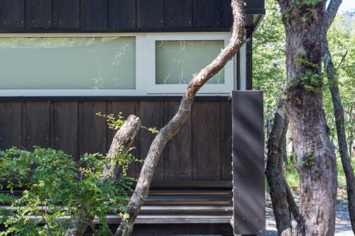 a house in the woods with trees at Endemiko in Malalcahuello