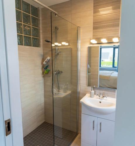 a bathroom with a shower and a sink at Carhan House - Cahersiveen in Cahersiveen